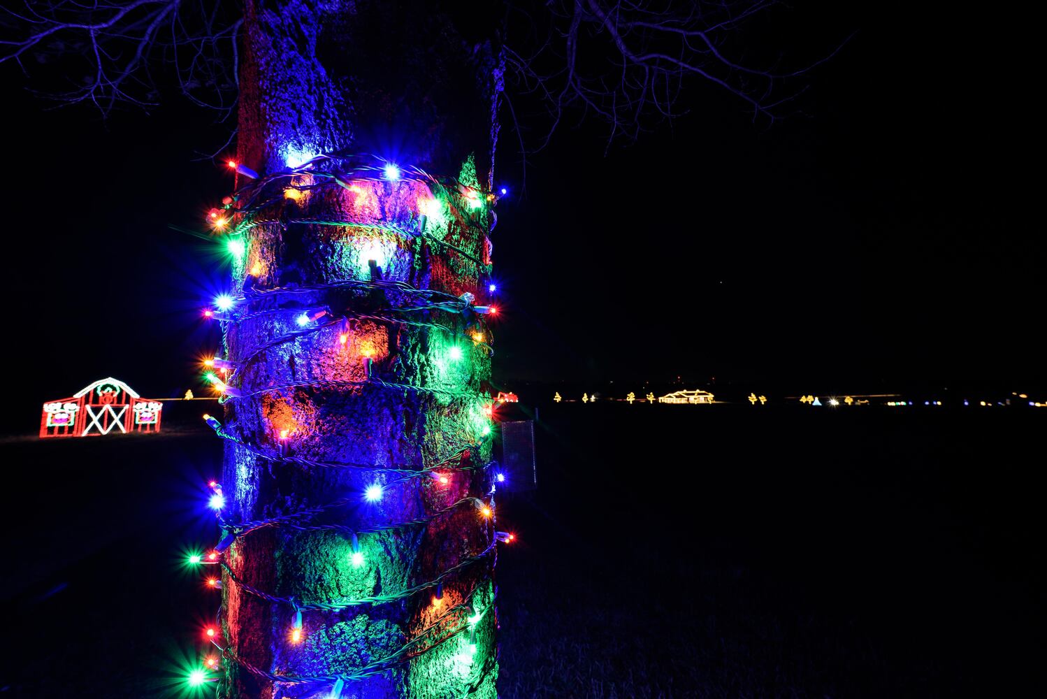 PHOTOS: Holiday Lights dazzle at Lost Creek Reserve in Troy