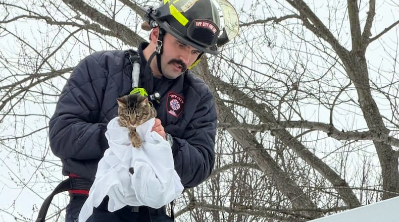 A Tipp City Fire & EMS squad was called to rescue to cat which had been stuck high up in a tree for two days. PHOTOS / Tipp City Professional Fire Fighters Local #5491