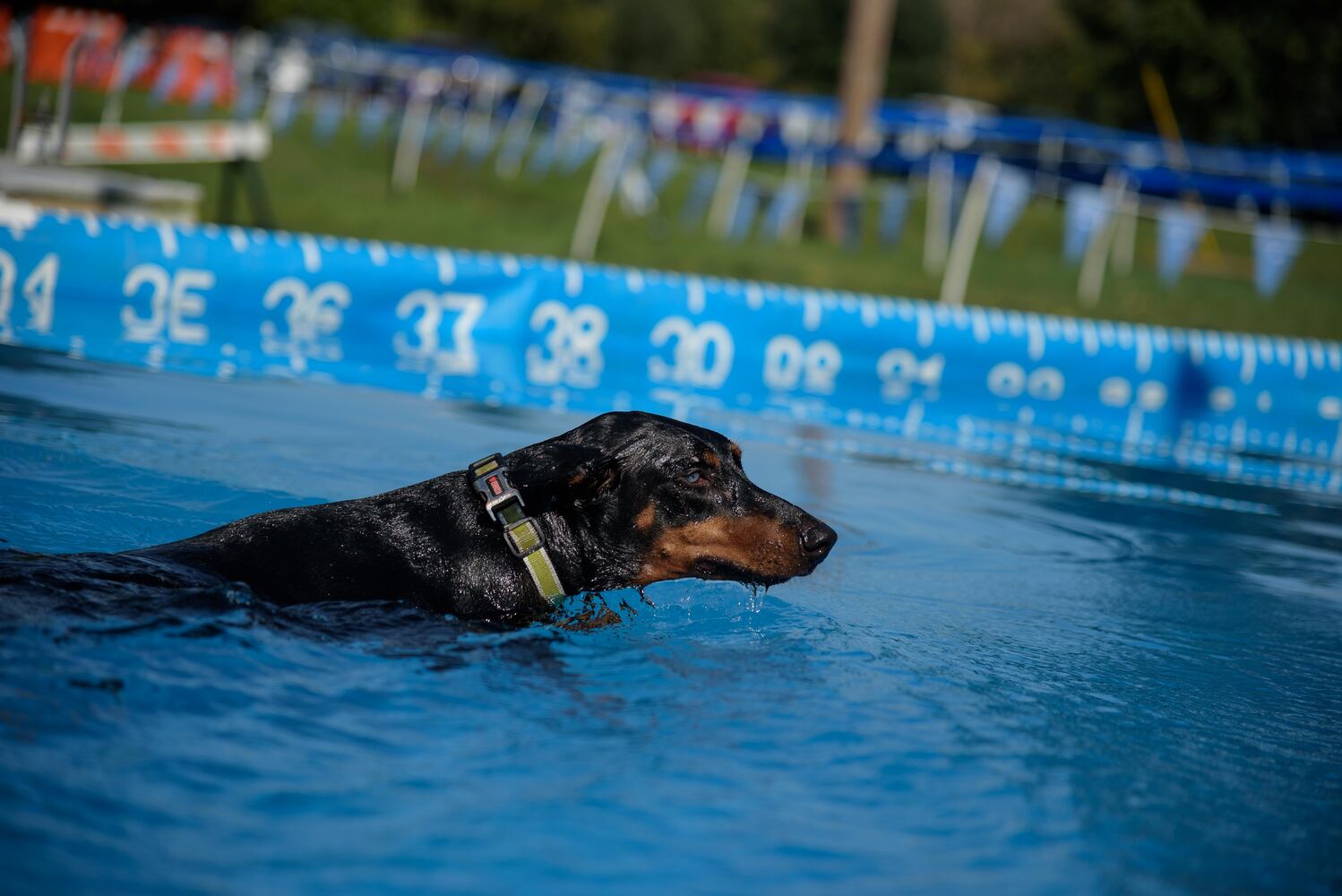 PHOTOS: Did we spot you at the Wagner Subaru Outdoor Experience this weekend?