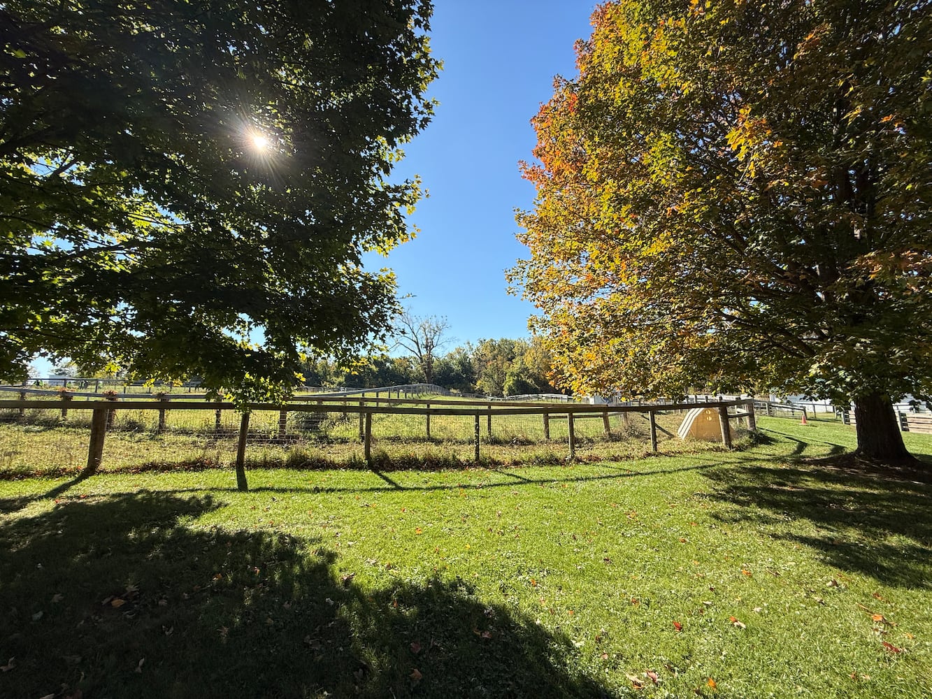 Aullwood Audubon Construction