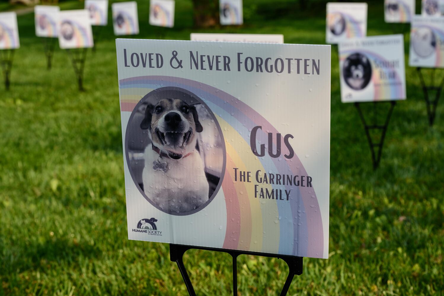 PHOTOS: Did we spot you at the Furry Skurry 5K at Stubbs Park in Centerville?