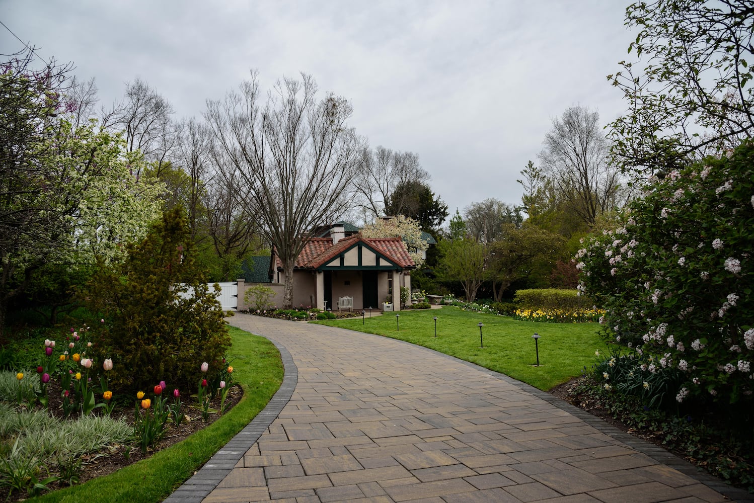 PHOTOS: Multi-colored tulips are in full bloom at Smith Memorial Gardens