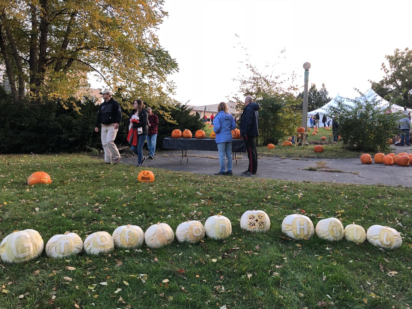 PHOTOS: The Stoddard Avenue Pumpkin Glow LIGHTS Dayton up for Halloween