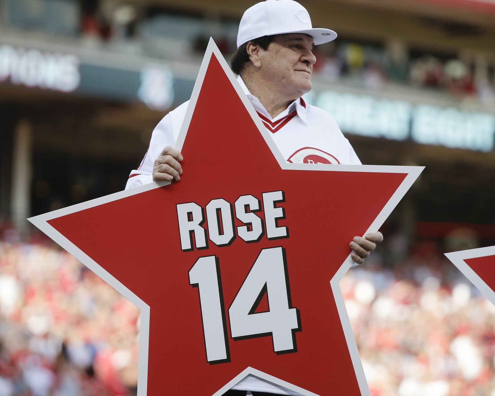 Former Cincinnati Reds player Pete Rose holds his place marker during a ceremony to honor the 1976 World Series champion team, before the Reds’ baseball game against the San Diego Padres, Friday, June 24, 2016, in Cincinnati. Pete Rose’s story will be the subject of a new production by Human Race Theatre “Banned from Baseball.” (AP Photo/John Minchillo)