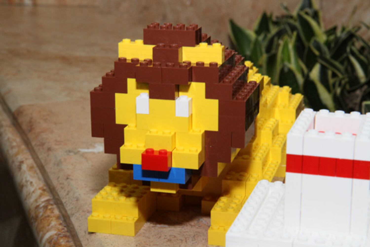 LEGO Master Builder Competition at Phipps