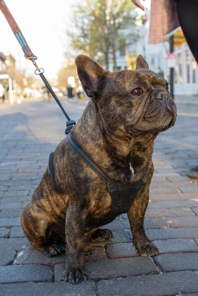 PHOTOS: Did we spot you at the grand opening return of Out on 5th in the Oregon District?