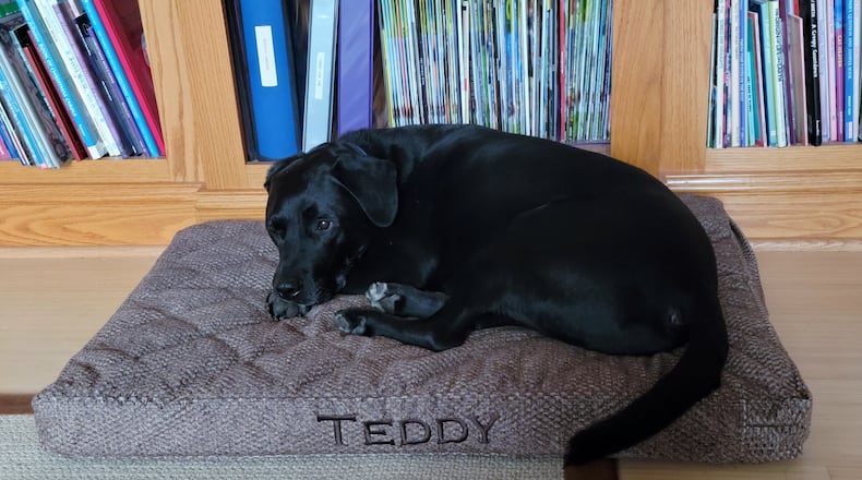 Like the monogram on it says, this bed belongs to Teddy. CONTRIBUTED
