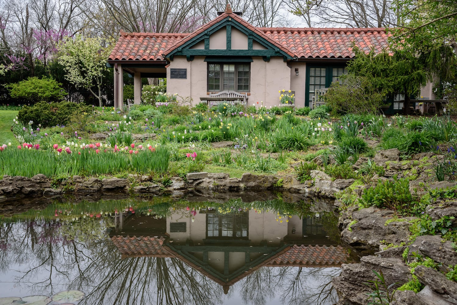 PHOTOS: Multi-colored tulips are in full bloom at Smith Memorial Gardens
