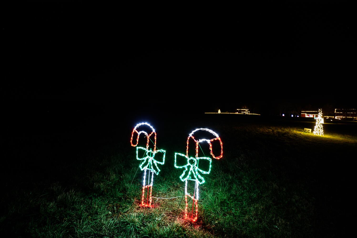 PHOTOS: Holiday Lights dazzle at Lost Creek Reserve in Troy