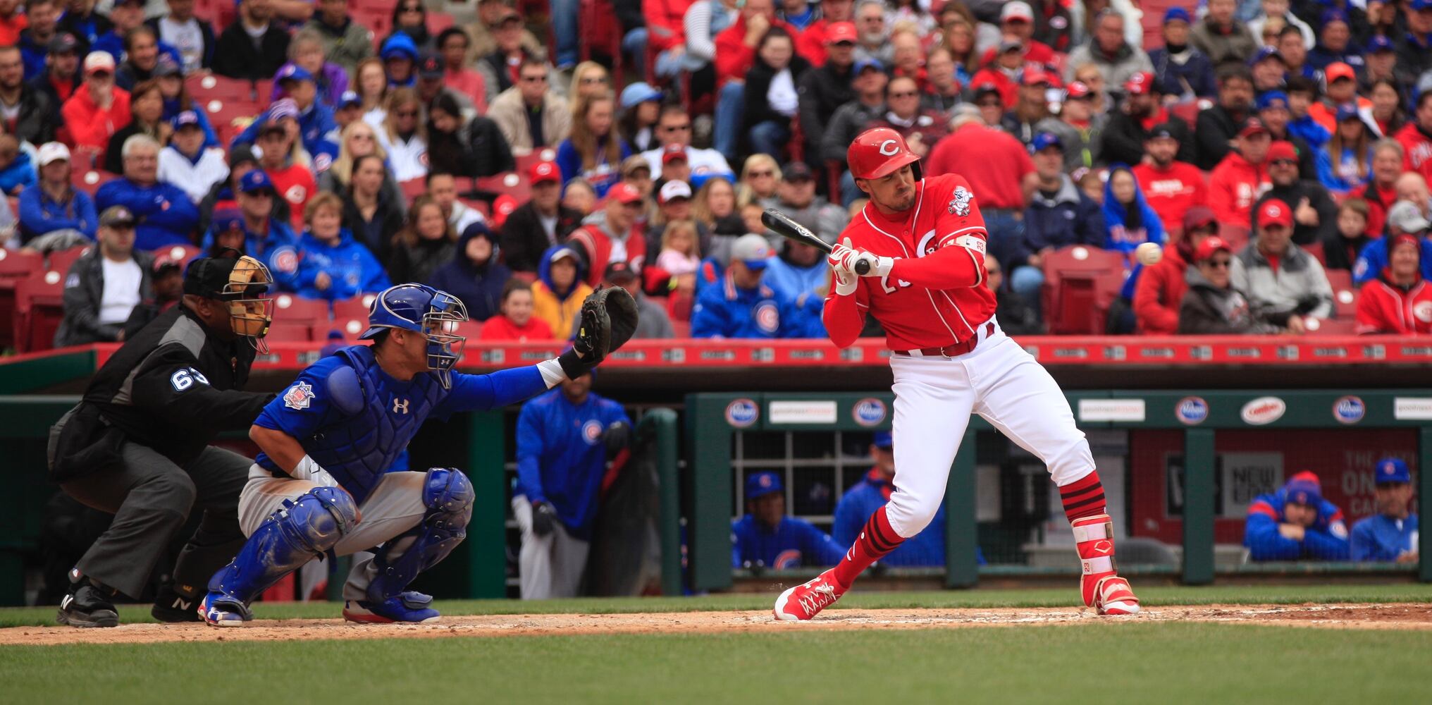 Cincinnati Reds vs. Chicago Cubs: Photos from April 22