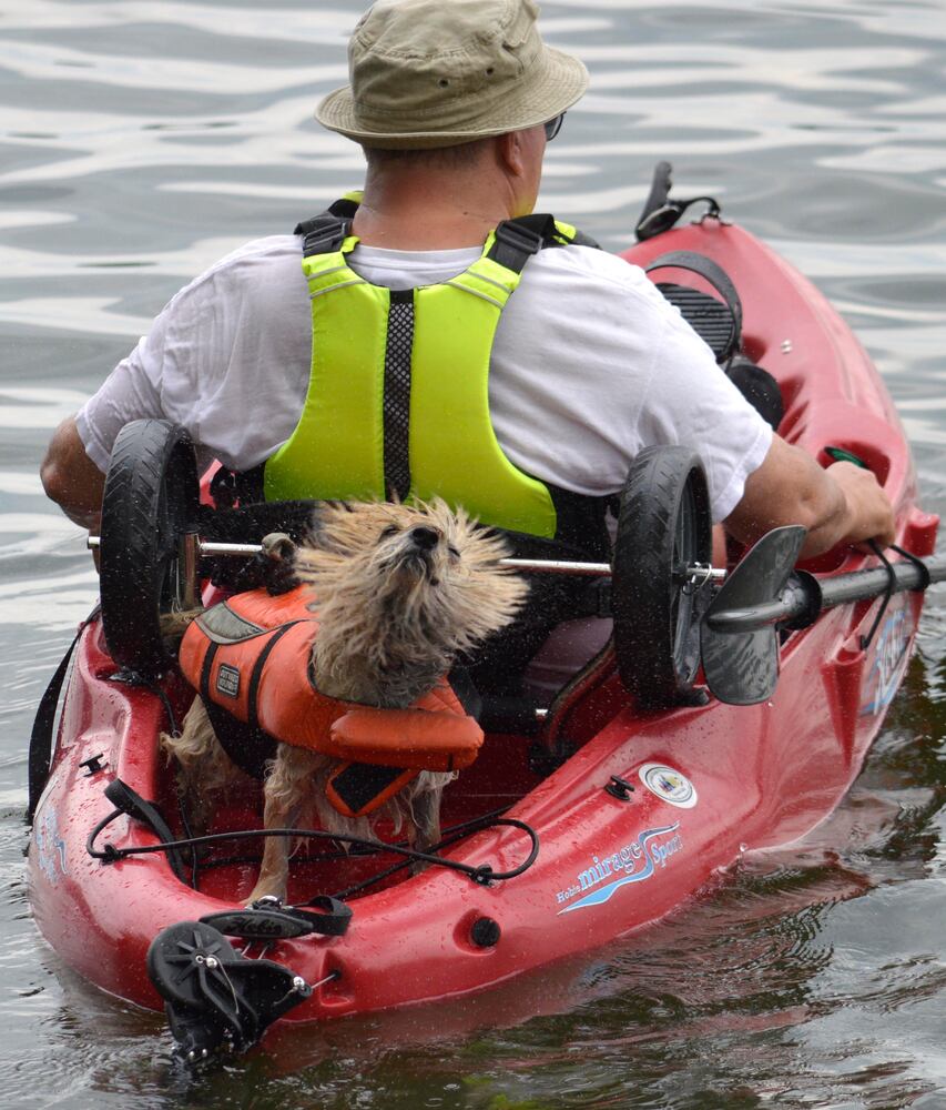 News hounds (7/16/15)