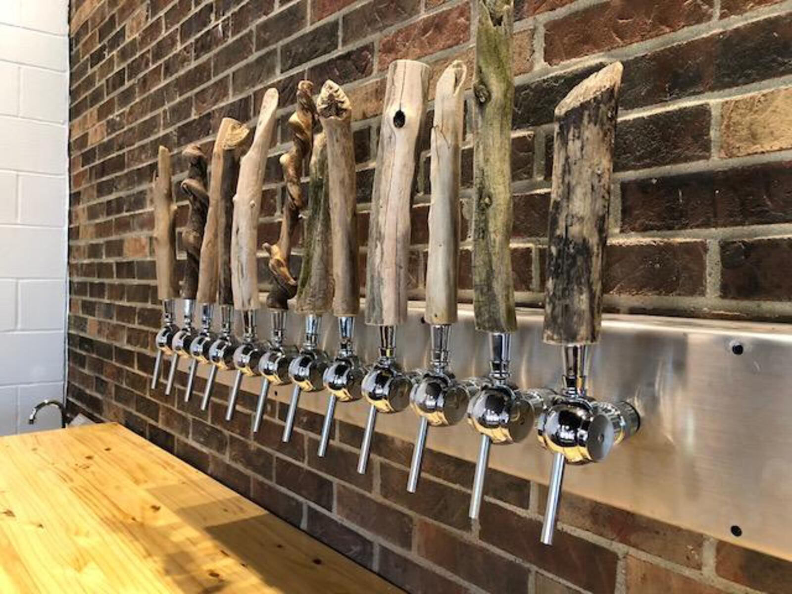 Branch & Bone, one of Dayton's newest local breweries, opened at 905 Wayne. Ave.