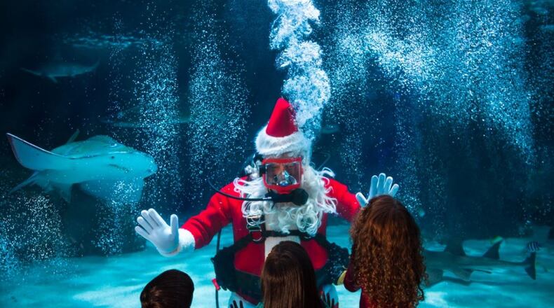 Once again, Santa will swim with sharks and listen to what his little visitors want for Christmas at the Newport Aquarium. CONTRIBUTED