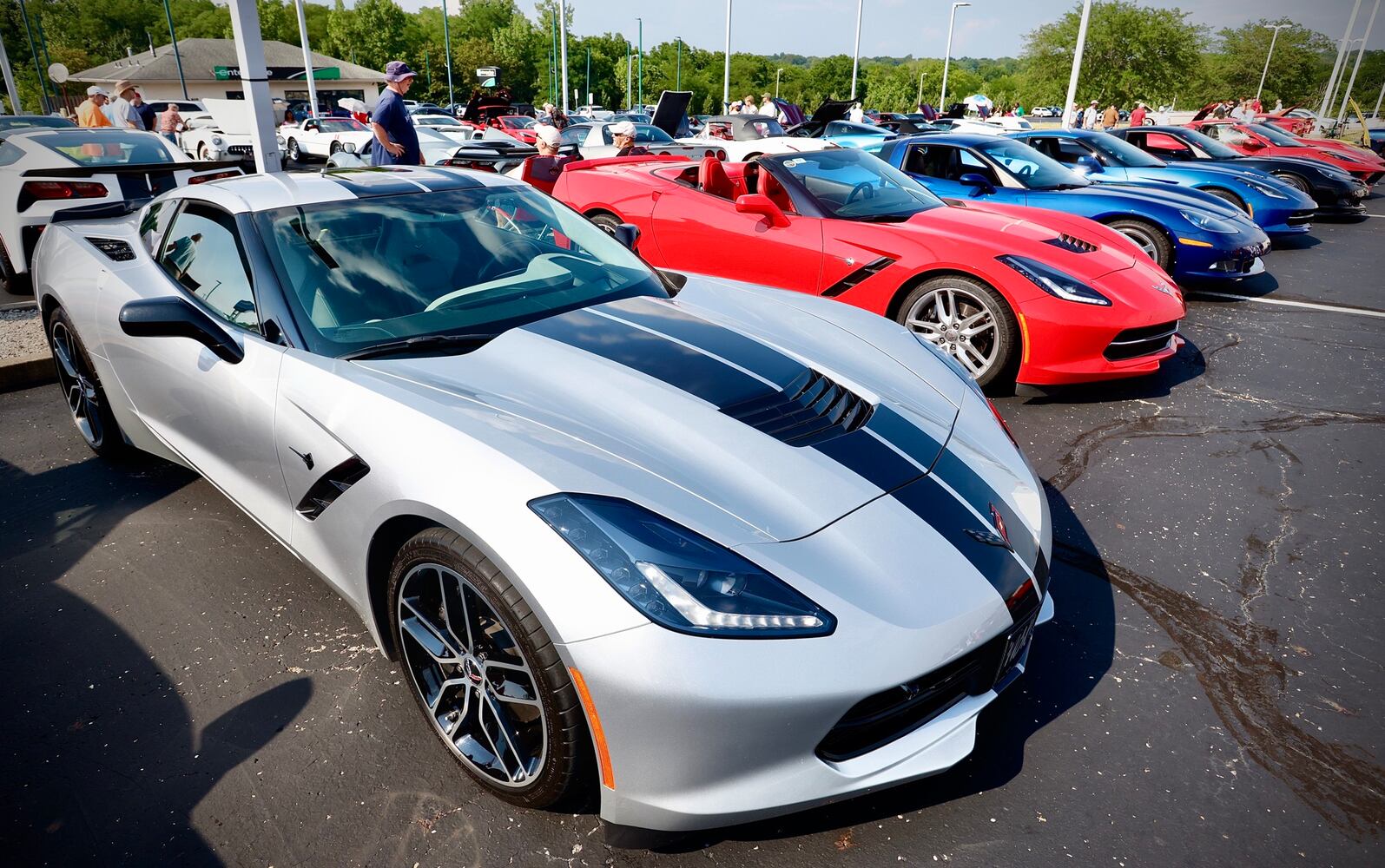 Cruise in