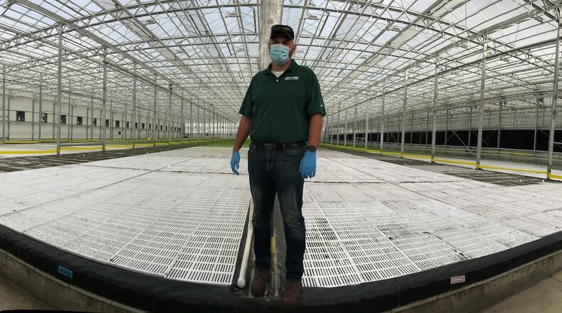 Bright Farms' hydroponic business in Wilmington grows one million pounds of salad greens a year.
