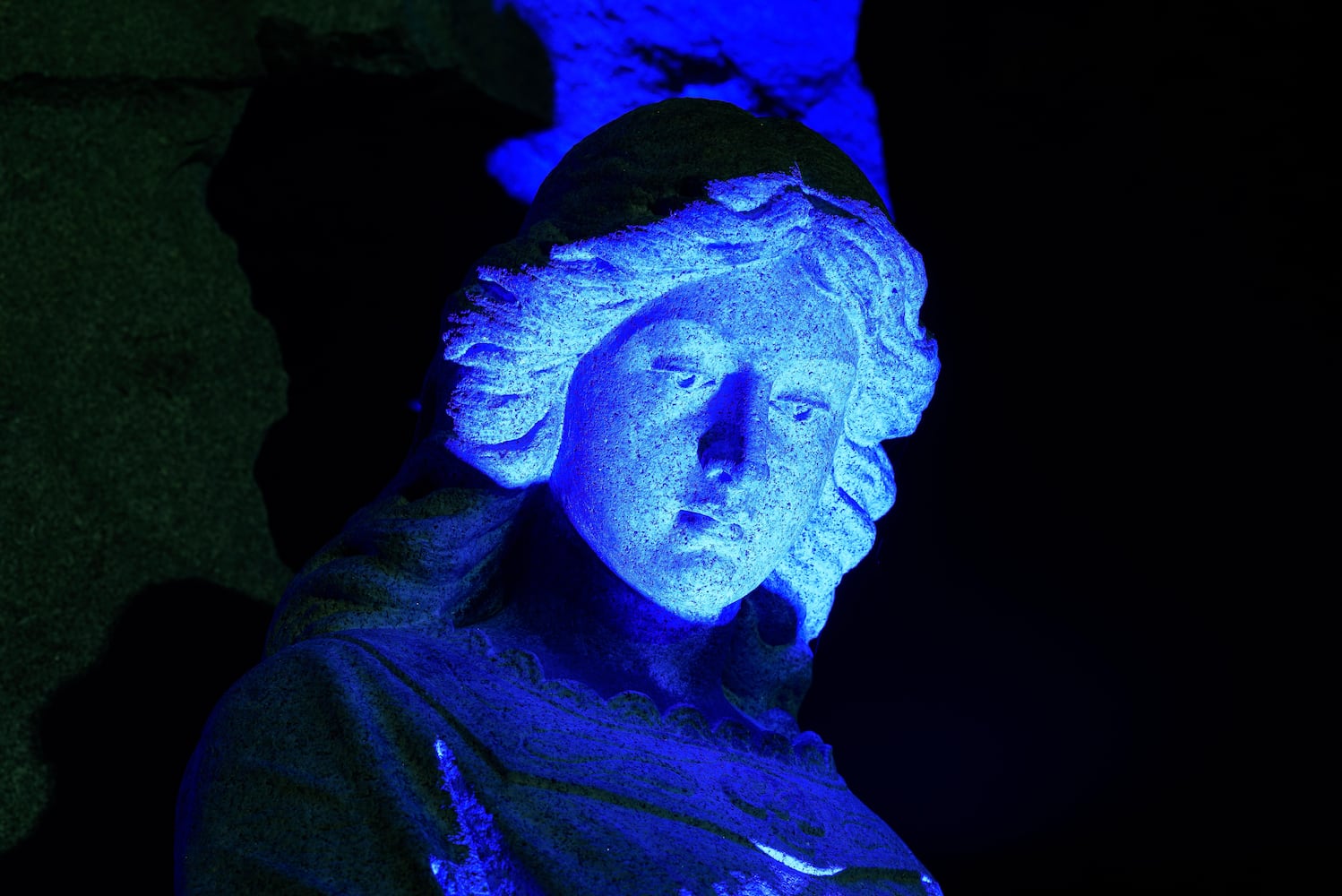 PHOTOS: Angel Night at Calvary Cemetery