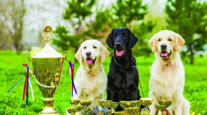 The 10th annual Wright-Patterson Air Force Base Army and Air Force Exchange Service Pet Show will be held May 4. (Metro News Service photo)