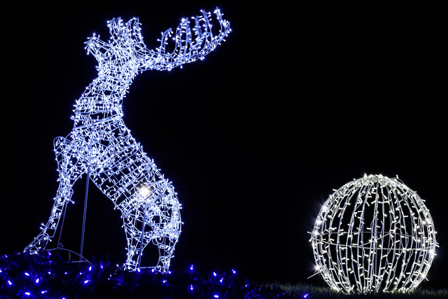 PHOTOS: Christmas Light Spectacular at Cedar Springs Pavilion