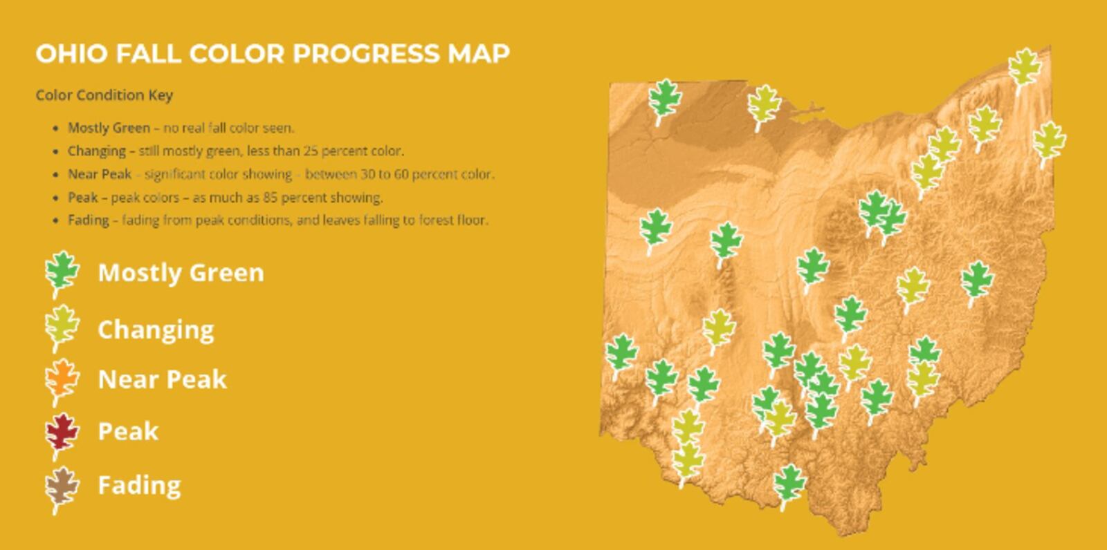 Ohio Fall Color Progress Map courtesy the Ohio Department of Natural Resources.