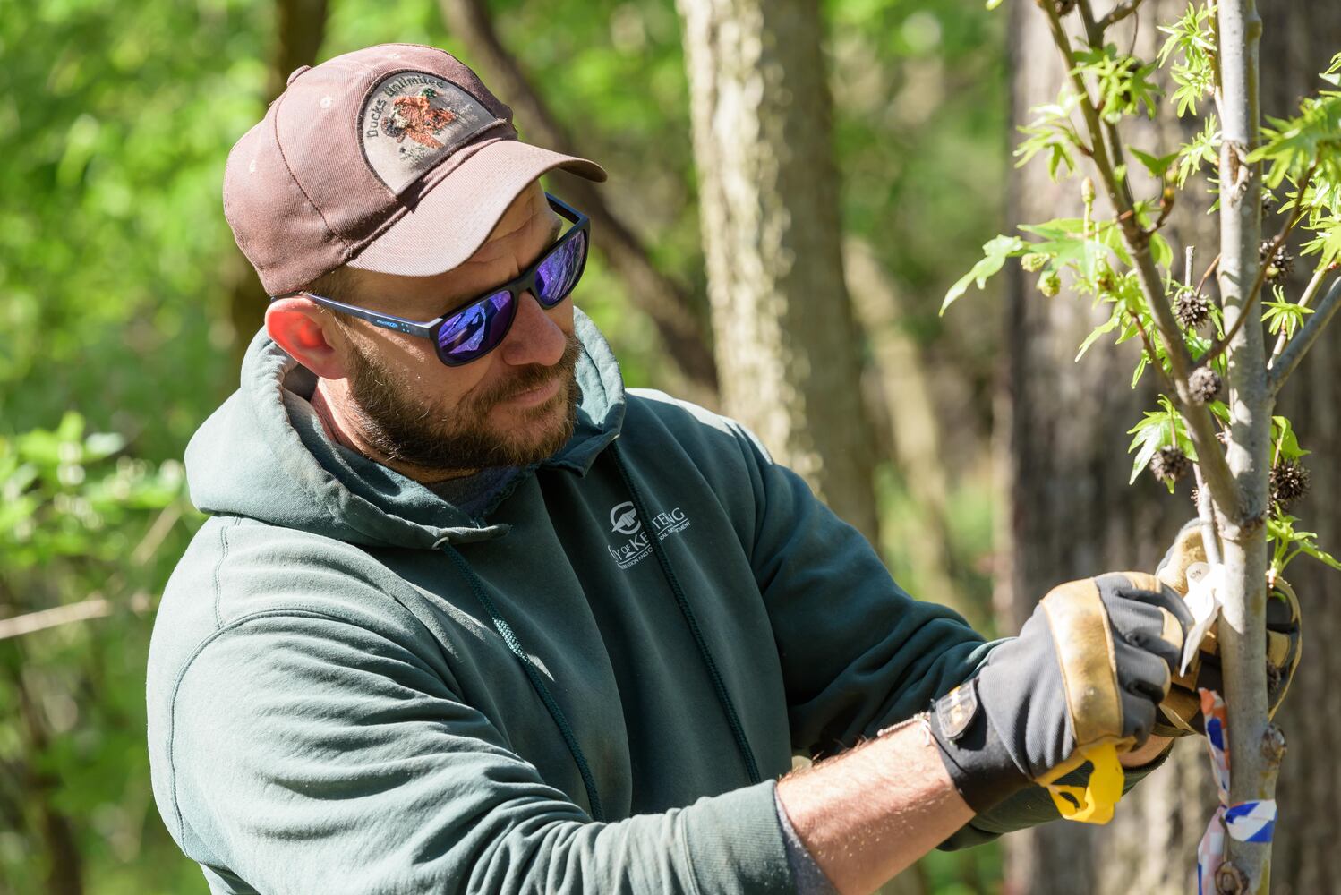 PHOTOS: Kettering TreeFest at Habitat Environmental Center