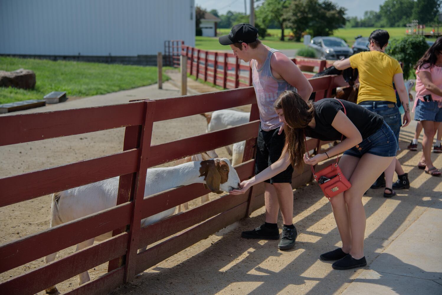 PHOTOS: Did we spot you at Young’s Jersey Dairy over Memorial Day weekend?