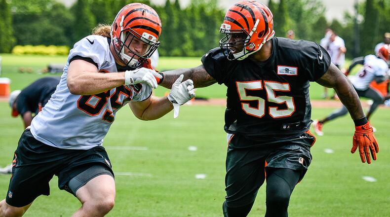 Bengals’ H-back Ryan Hewitt is defended by linebacker Vontaze Burfict (55) during organized team activities Tuesday, May 22 at the practice facility near Paul Brown Stadium in Cincinnati. NICK GRAHAM/STAFF