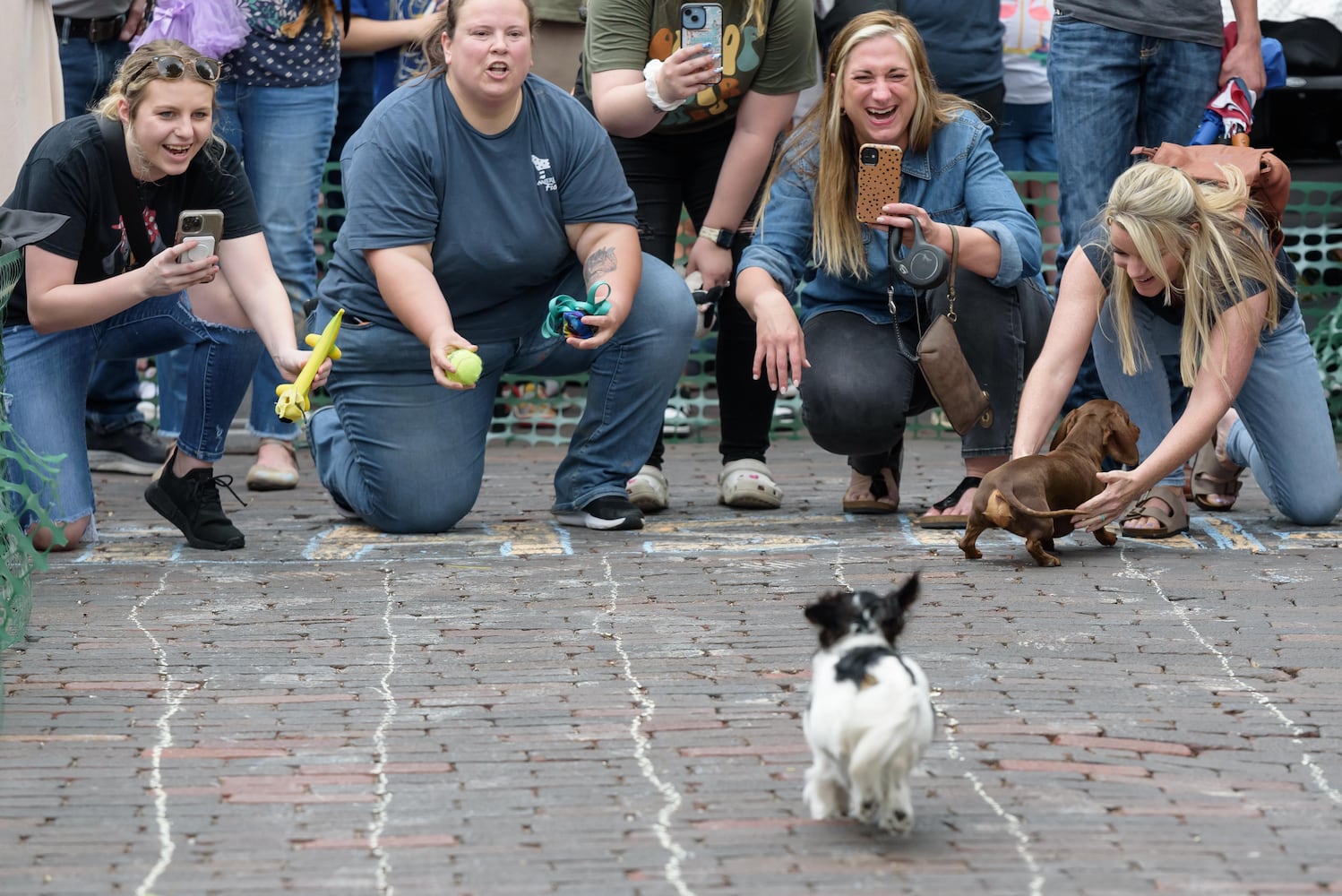 PHOTOS: 6th annual Derby Day Wiener Dog Races in The Oregon District