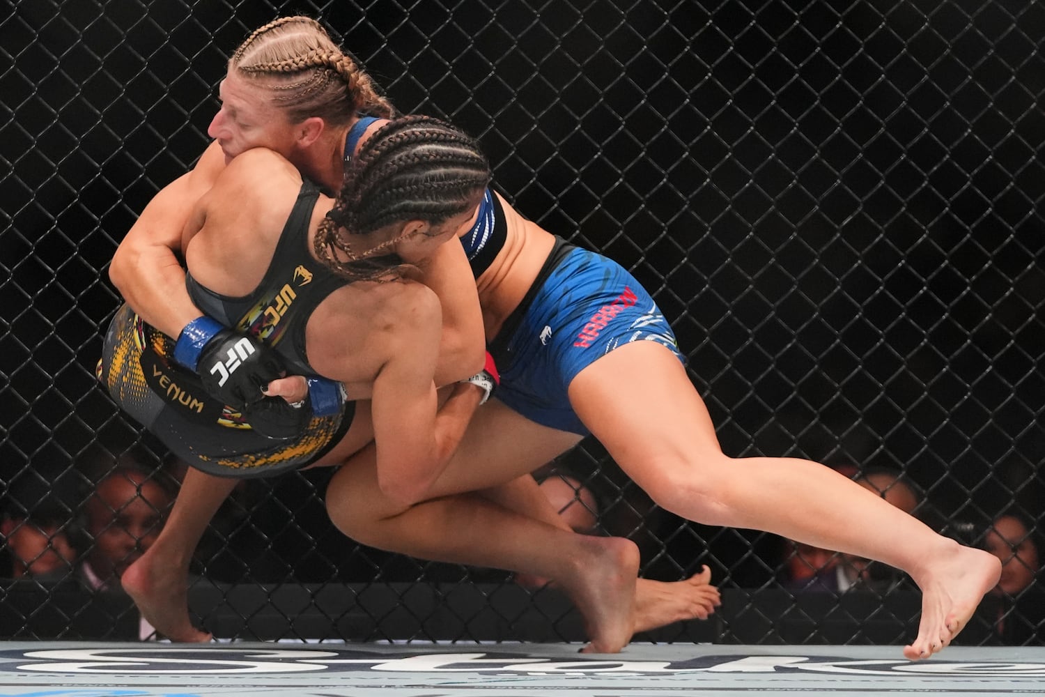 UFC 316 Mixed Martial Arts