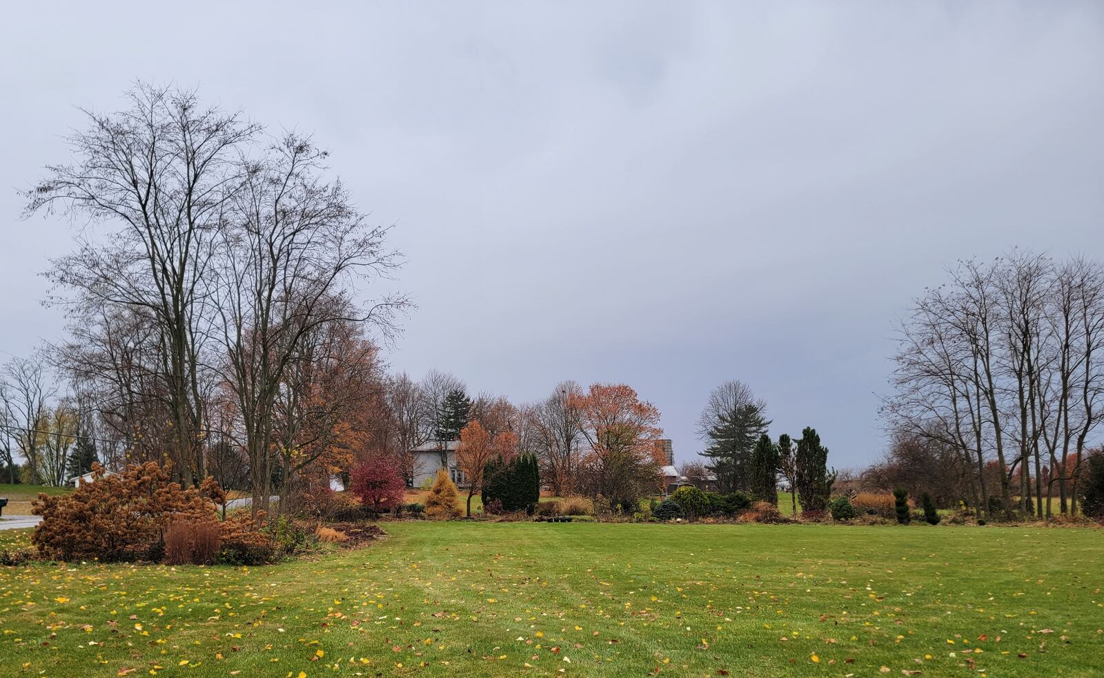 What do you have in your landscape that can be used in holiday decorations?