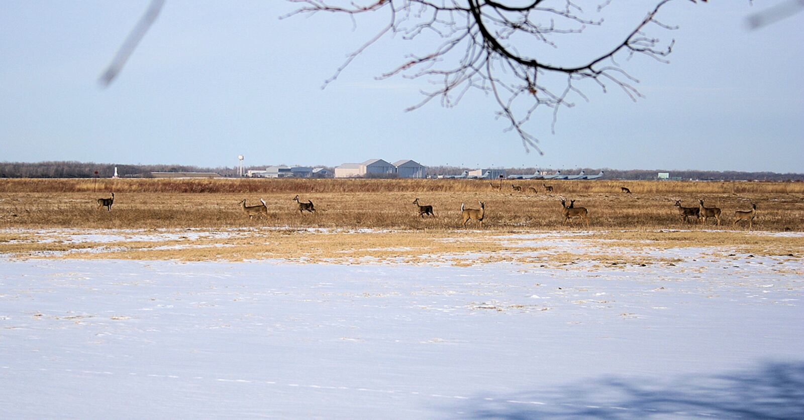 This year’s hunting season at Wright-Patterson Air Force Base started Sept. 1 and ends Feb. 28. Permits are now available online, along with training requirements. CONTRIBUTED PHOTO