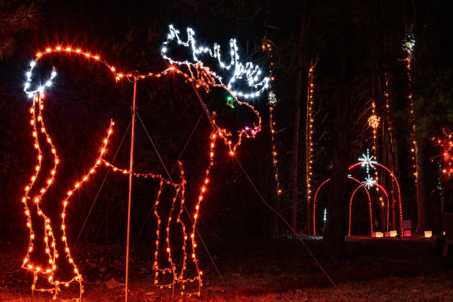 PHOTOS: A walk through Woodland Lights in Washington Township