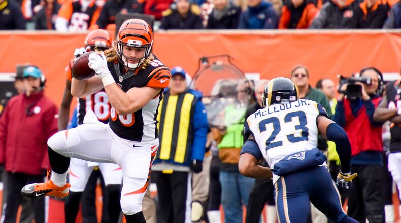 Cincinnati Bengals h-back Ryan Hewitt catches a pass during their 31-7 win over the Rams Sunday, Nov. 29 at Paul Brown Stadium in Cincinnati. NICK GRAHAM/STAFF