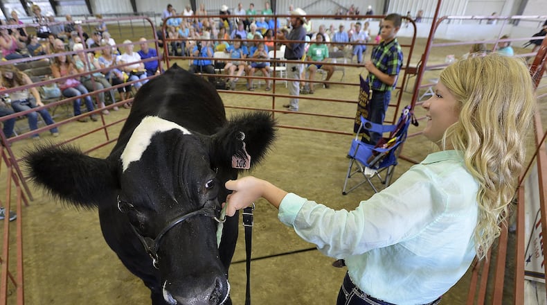 Sydney Peters shows her Grand Champion Steer on the auction block at the 2015 Clark County Fair. Bill Lackey/Staff