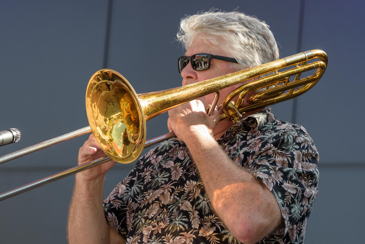 PHOTOS: The Dayton Reggae Festival at Levitt Pavilion