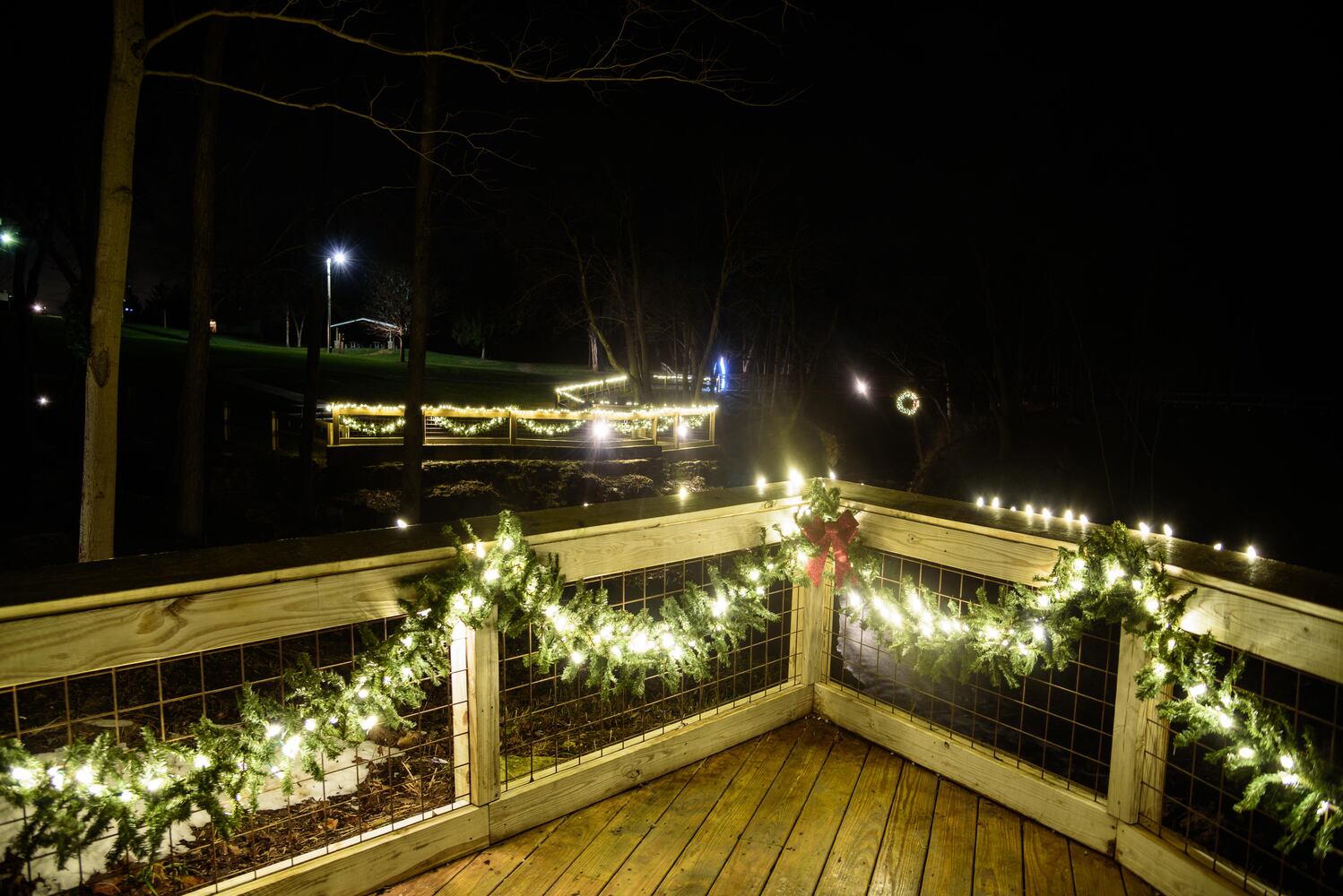 PHOTOS: Holiday at the Falls in Cedarville