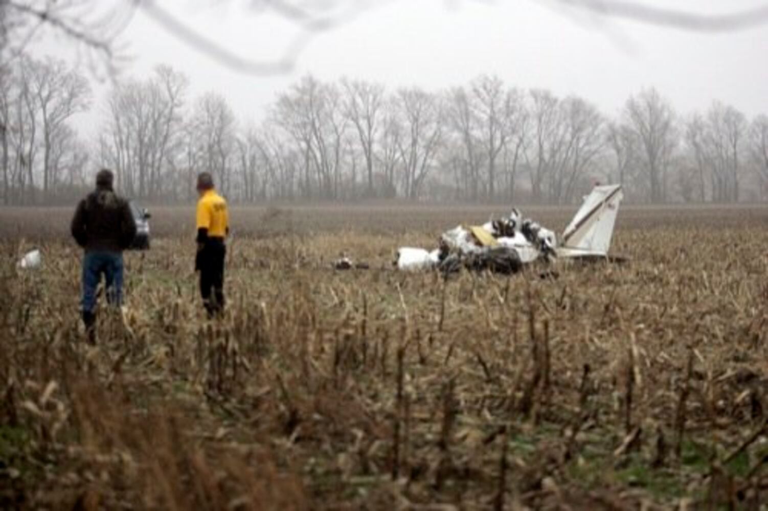 Pilot dies in plane crash
