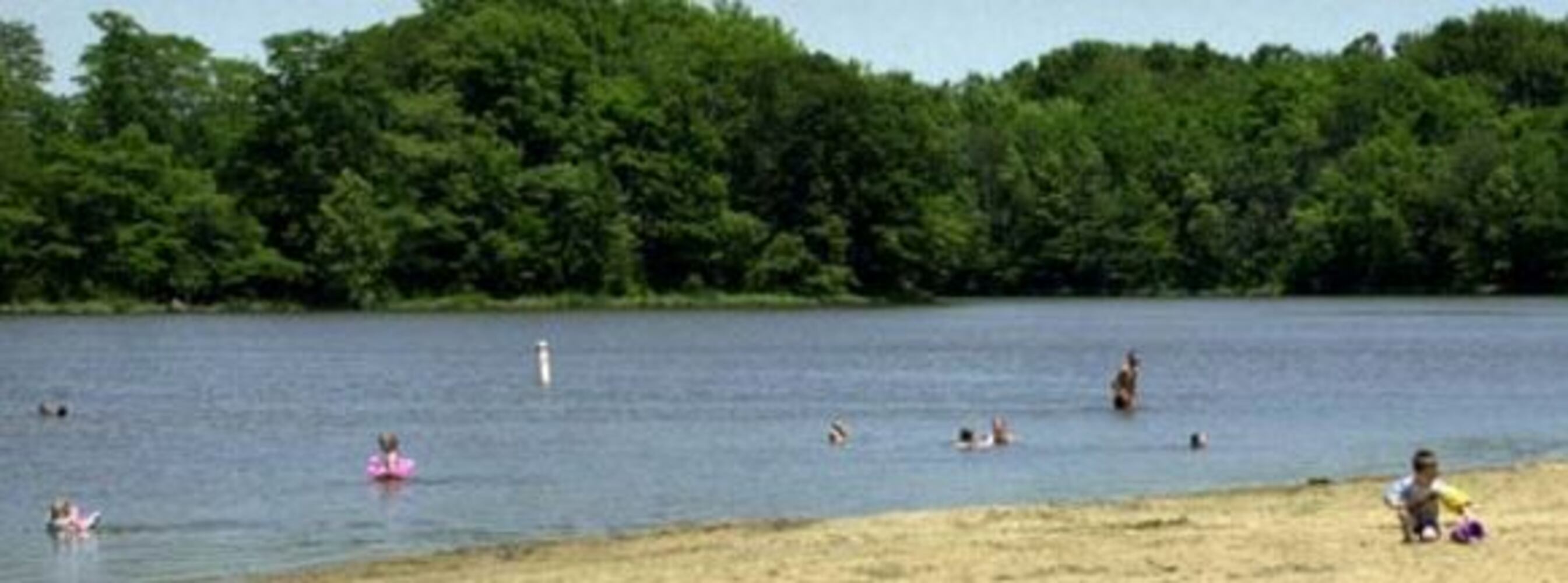 Fossil collecting in Ohio