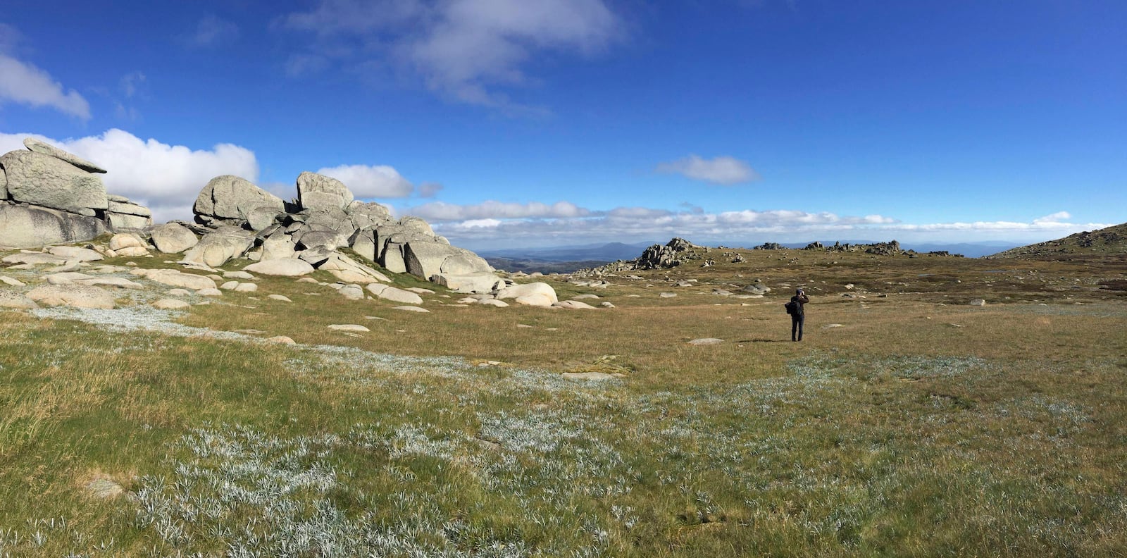 This image provided by Eric Warrant shows the mountainous landscape near caves where Australian Bogong moths go to cool down and rest at the Ramshead Range of the Snowy Mountains in New South Wales, Australia. (Eric Warrant via AP)