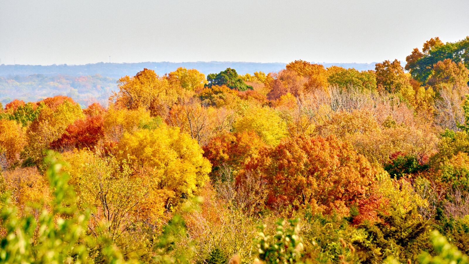 The High View at Twin Creek MetroPark offers stunning and expansive views in the fall. CONTRIBUTED