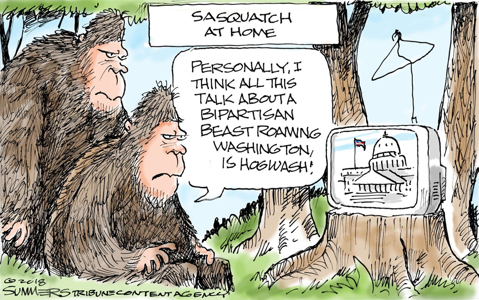 Week in cartoons: The NRA, arming teachers and more