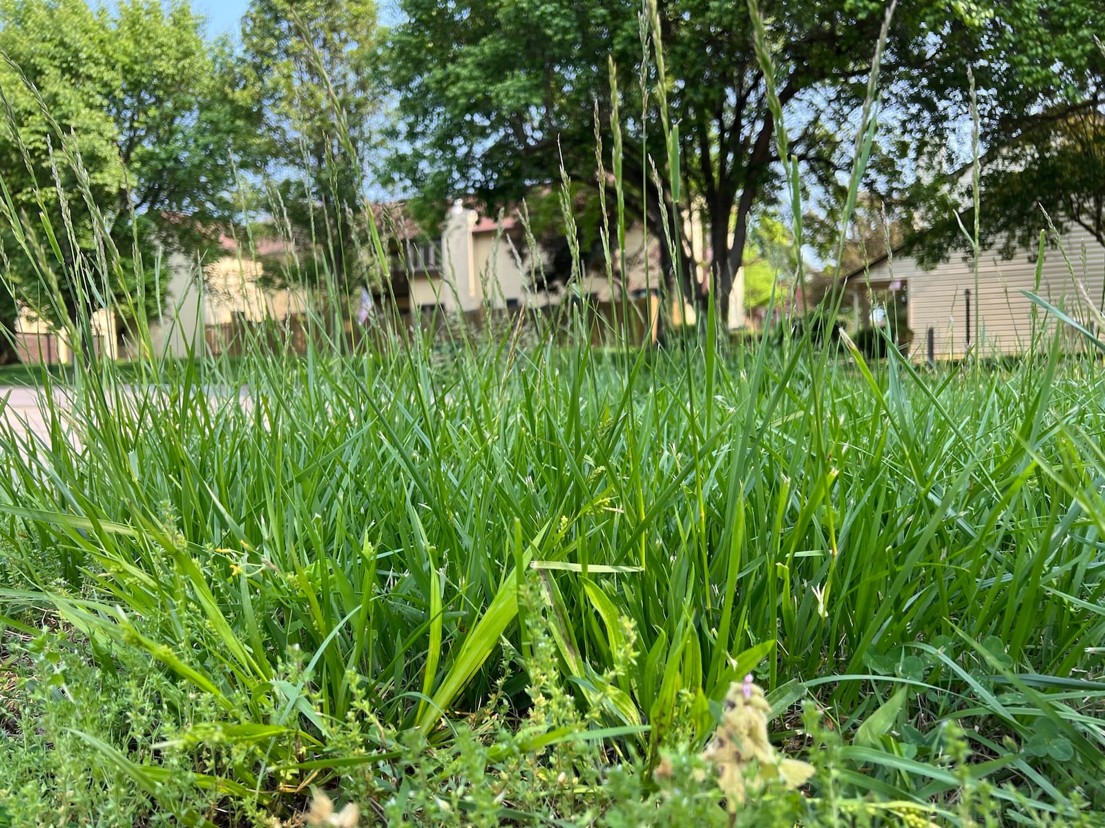 Centerville is introducing a new daily $50 reinspection fee for unresolved property code violations. Examples of recent violations include unregistered/junk cars, debris in yards, broken fences, downed trees and grass exceeding eight inches in height. CONTRIBUTED