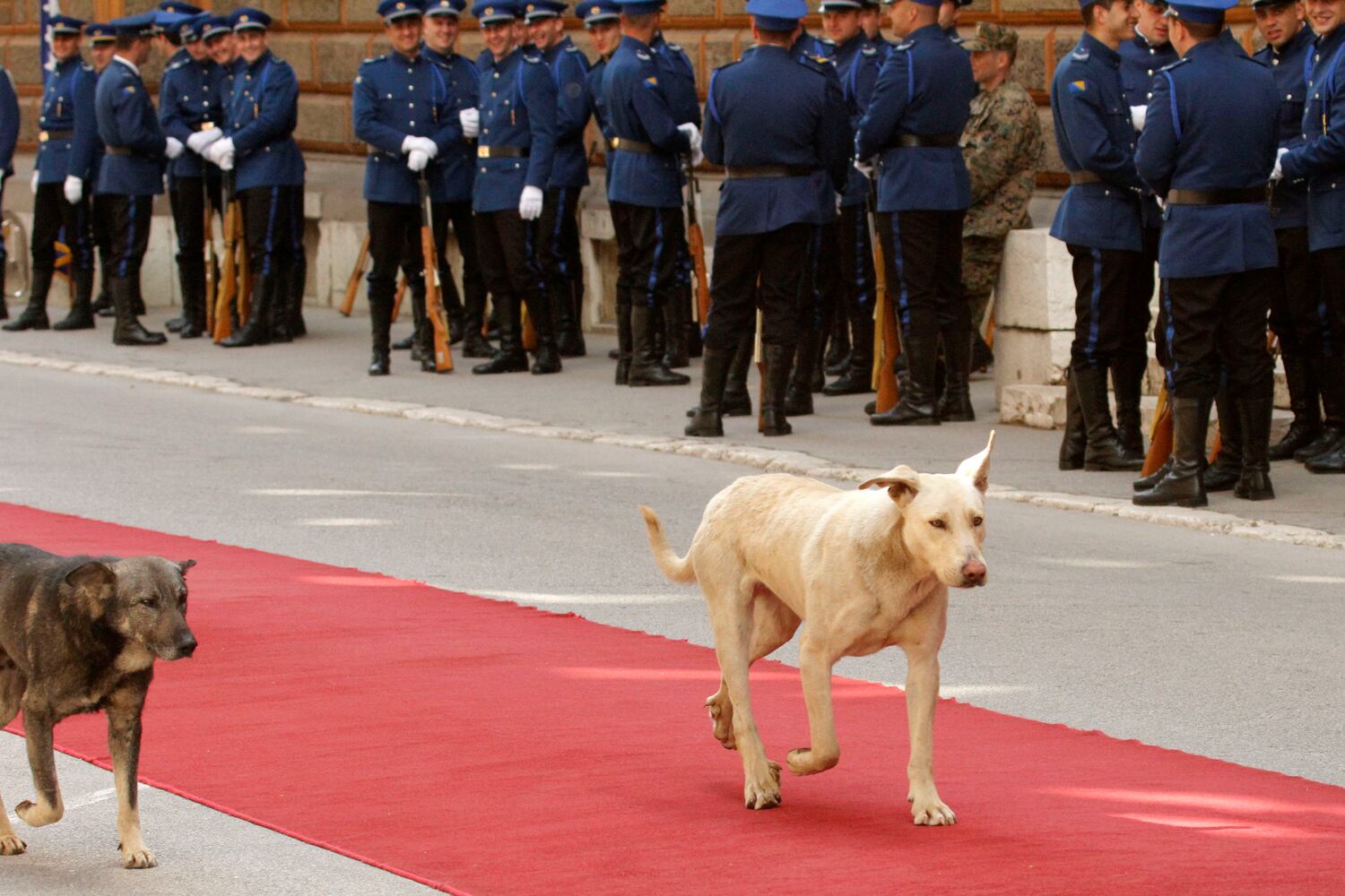News hounds (4/23/15)