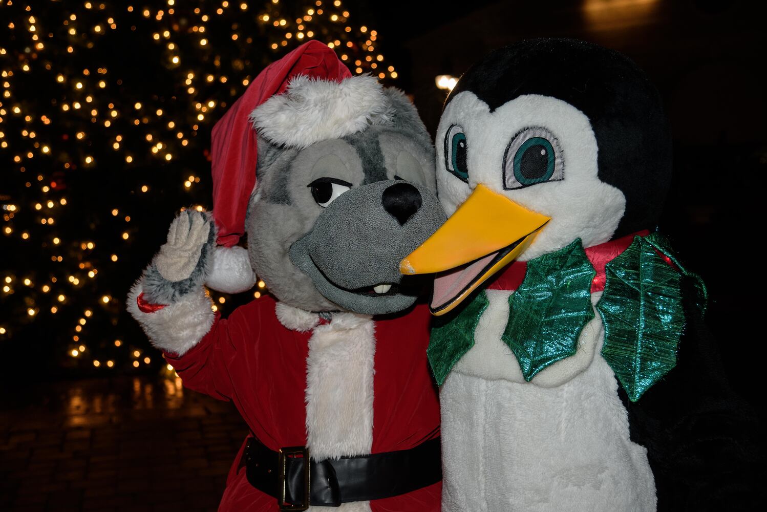 PHOTOS: Did we spot you at The Greene’s Christmas tree lighting?