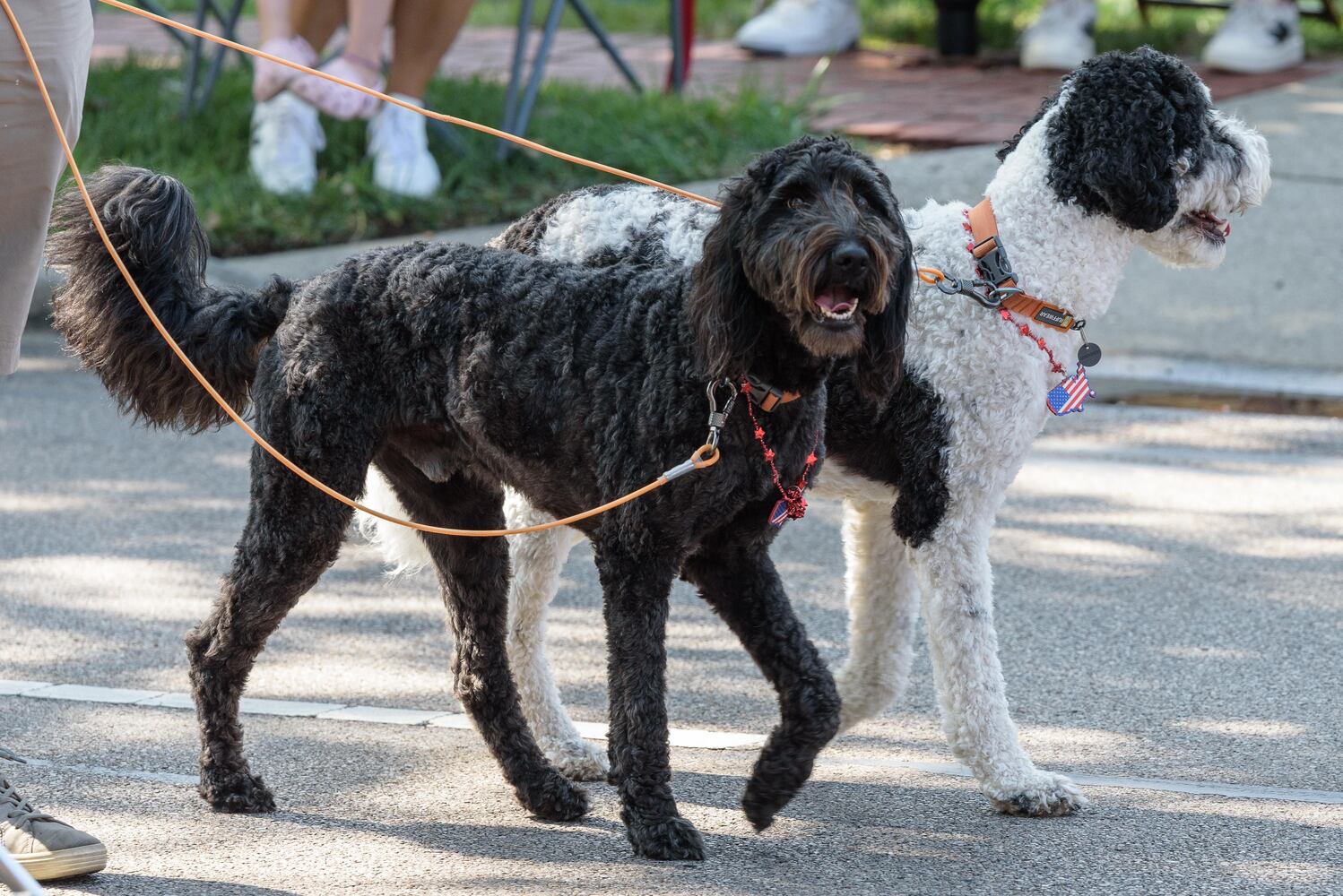 PHOTOS: Did we spot you at the 51st Centerville-Washington Twp. Americana Festival Parade?