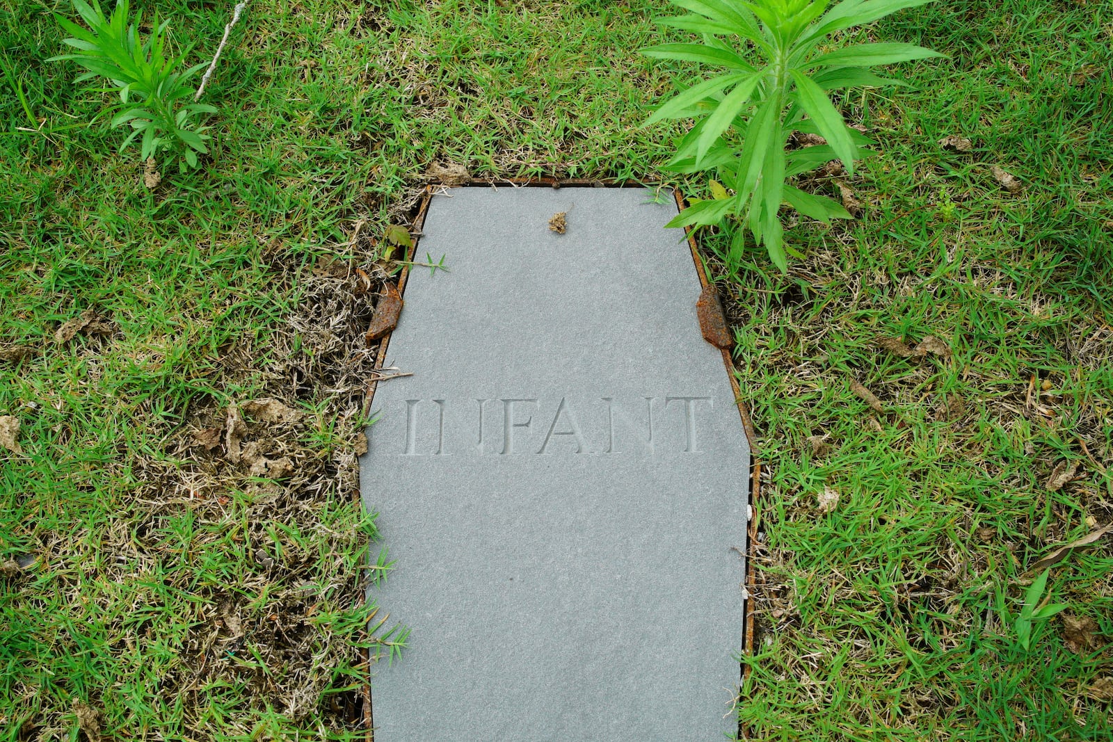 A casket-shaped stone marks an infant's grave at the original site of the First Baptist Church of Williamsburg in Williamsburg, Va., on May 30, 2025. (AP Photo/Allen G. Breed)