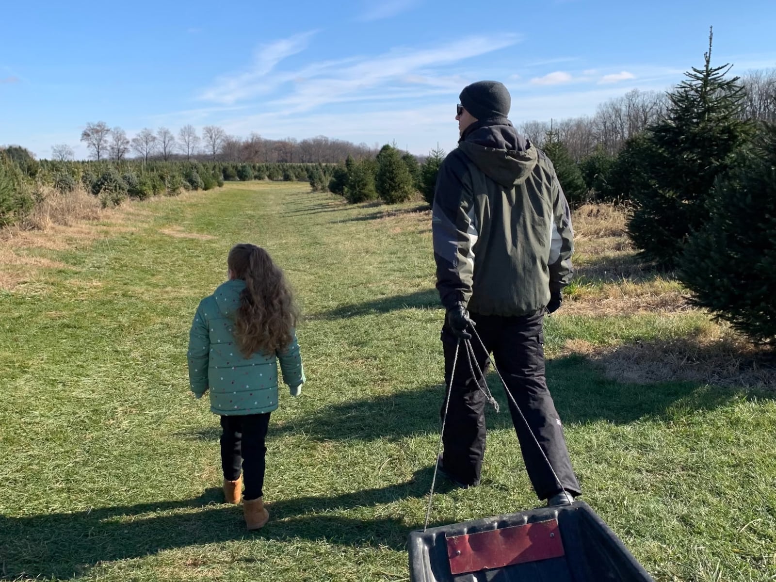 At just 8 years old, Charlotte Blake, pictured with her dad Aaron, has been helping with the family tradition of cutting down a Christmas tree since she was a toddler. CONTRIBUTED