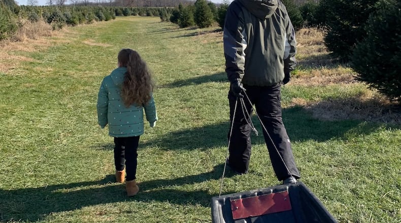 At 8-years old, Charlotte Blake, pictured with her dad Aaron, has been helping with the family tradition of cutting down a Christmas tree since she was a toddler. CONTRIBUTED