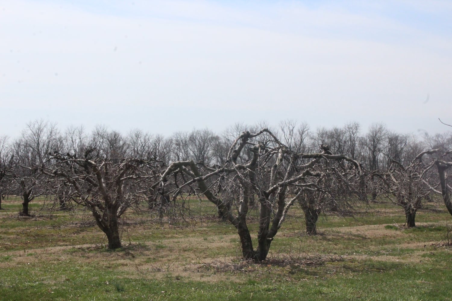 Photos: Monnin’s Fruit Farm getting ready for 58th season