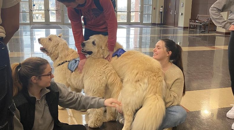 Pam Killingsworth’s dogs Tucker and Poppy are pictured visiting University of Dayton law students during a stressful exam week. CONTRIBUTED