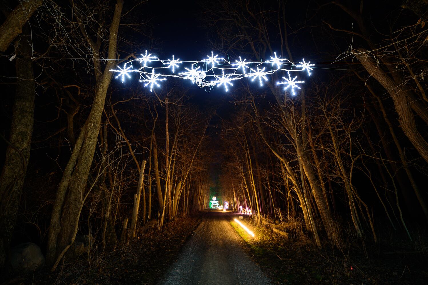 PHOTOS: Holiday Lights dazzle at Lost Creek Reserve in Troy